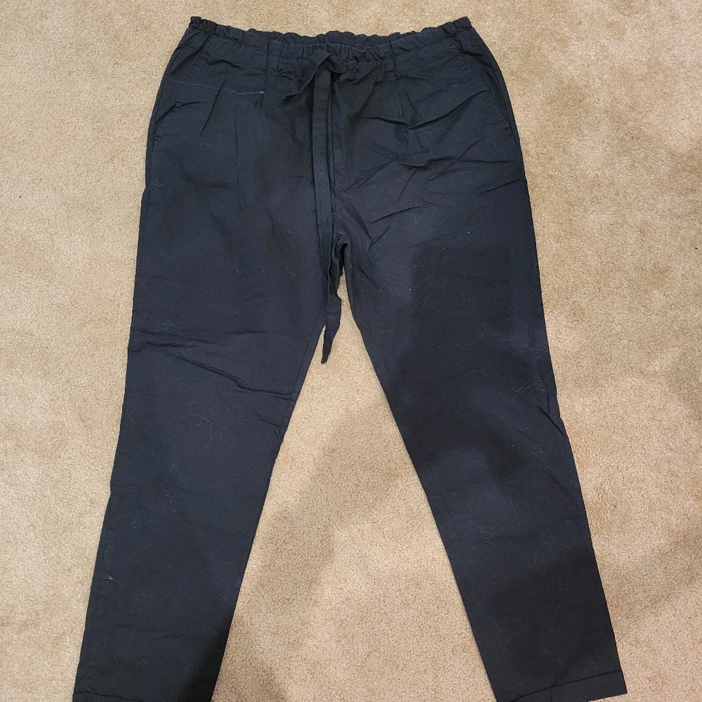 Women's Tentree pants Lg